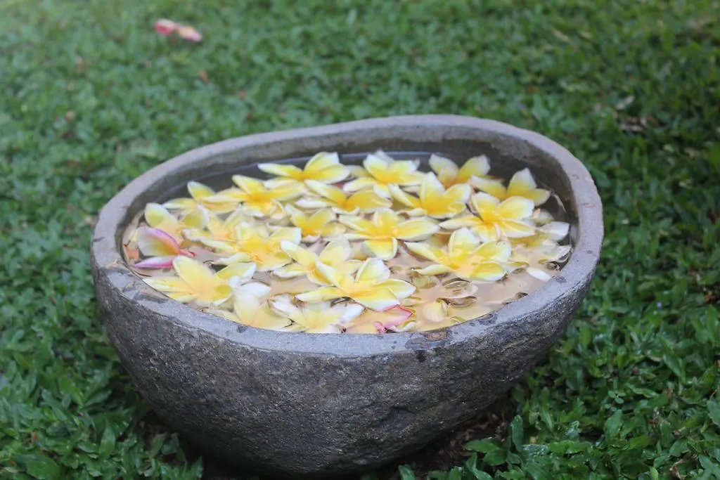 Odah Ayu Guest House Ubud  0*, Ubud (Bali)